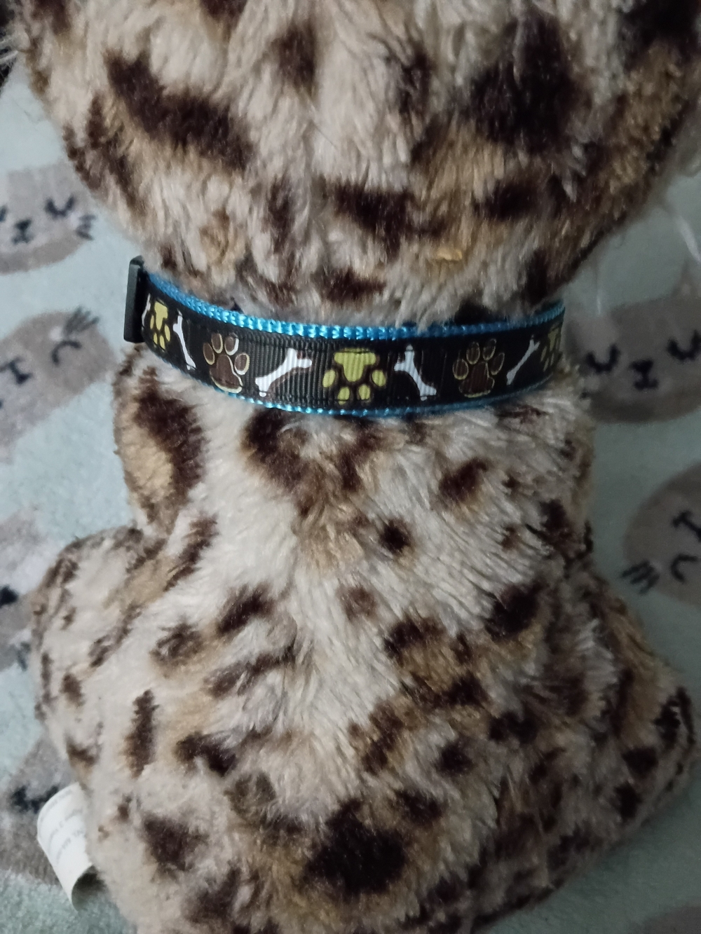 Blue Paw Print and Bone Dog Collar By Archie Dog